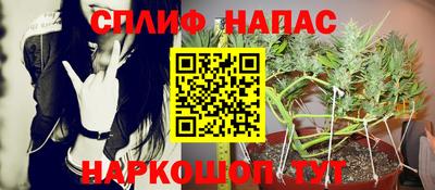 молекула духа Краснознаменск