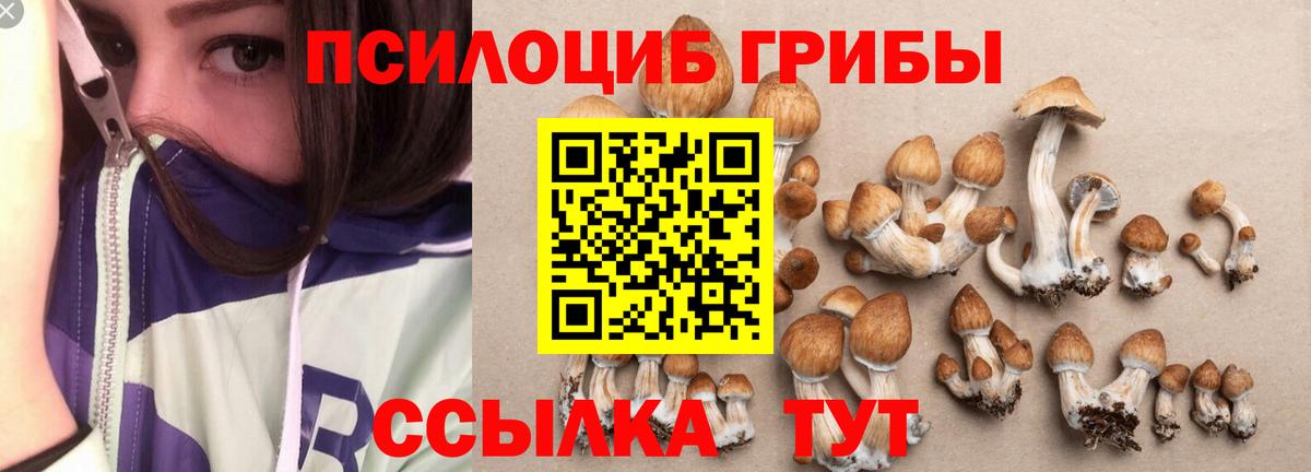 Псилоцибиновые грибы Cubensis Дубна