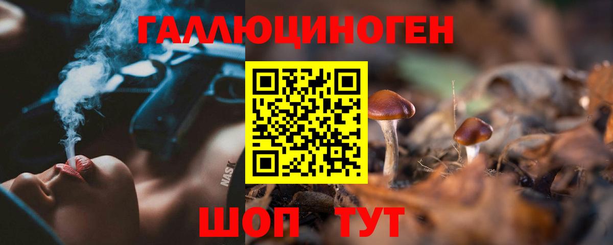 продажа наркотиков  Галлюциногенные грибы мухоморы  Дубна  Вход с VPN  Псилоцибиновые грибы мухоморы 